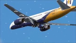 Monarch Take-Off