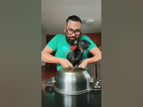 Сара ♥️ - YouTube