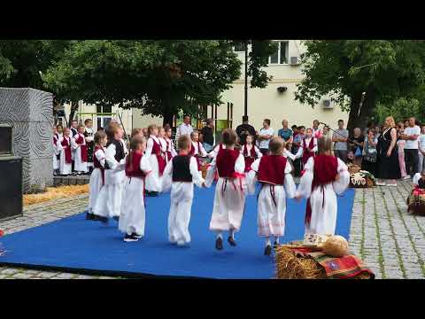 Video: Najbolji kulturni događaji, festivali i koncerti na Jamajci