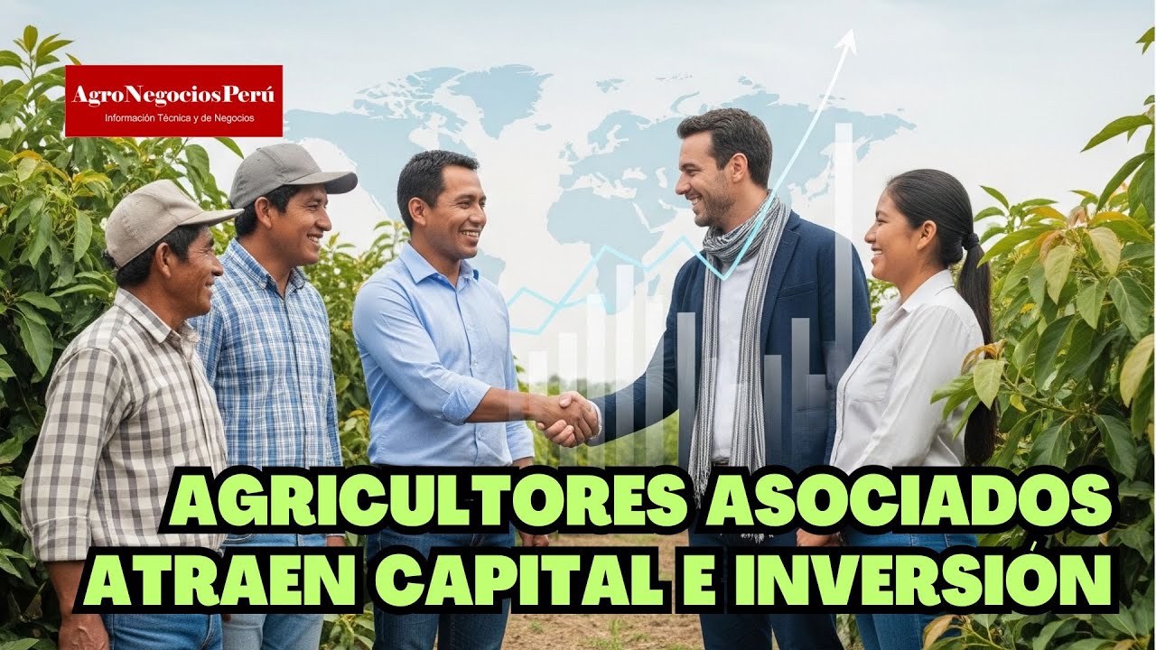 Cómo acceder a capitales para proyectos agrícolas. Pablo Secada