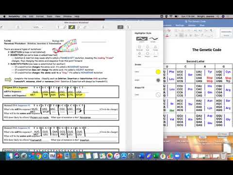 BIOLOGY DNA Mutations Worksheet Explained