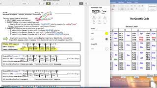 BIOLOGY DNA Mutations Worksheet Explained