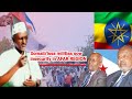 Djibouti interferes in ethiopias internal affairs