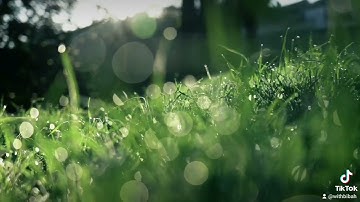 ربنا اننا سمعنا مناديا ينادي للإيمان #سورة_آل_عمران