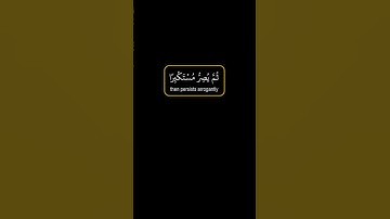 ويل لكل افاك اثيم -  سورة الجاثية آية -  7  - 8  - كرومات سوداء القرآن - ياسر الدوسري