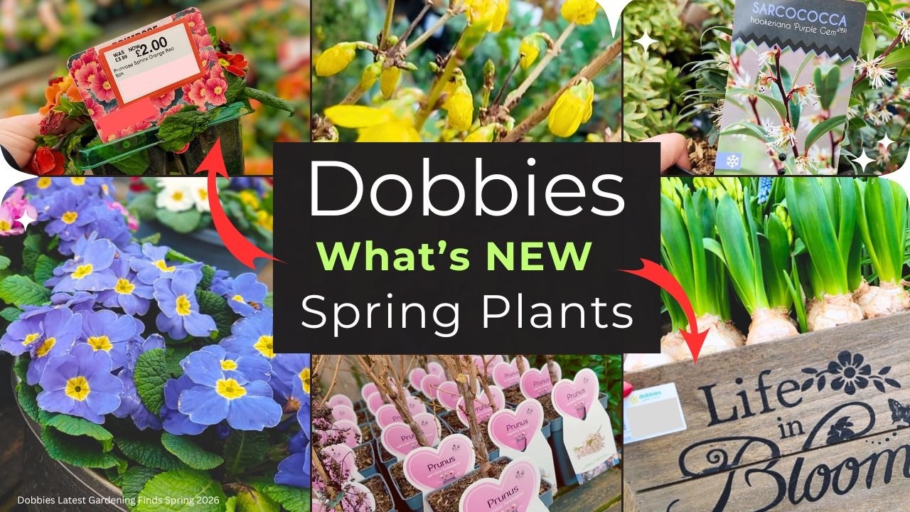 Dobbies NEW Spring Plants 2026 🌷 | BIG Garden Centre Tour & Bargains | Shop with Me UK!