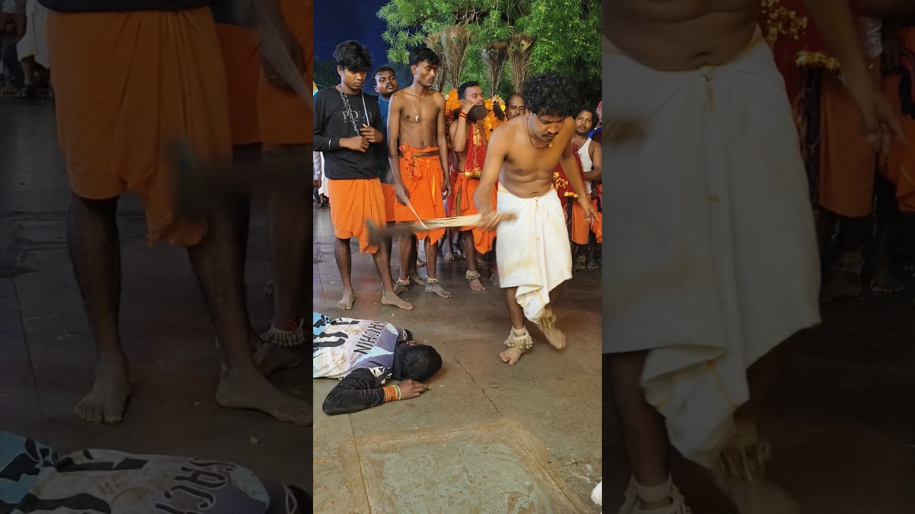 bastar Dusshera 🤩🤩😍 