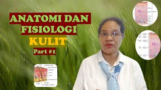 Part #1 || Anatomi dan Fisiologi Sistem Integumen Part #1 || Anatomi dan Fisiologi Sistem Integumen