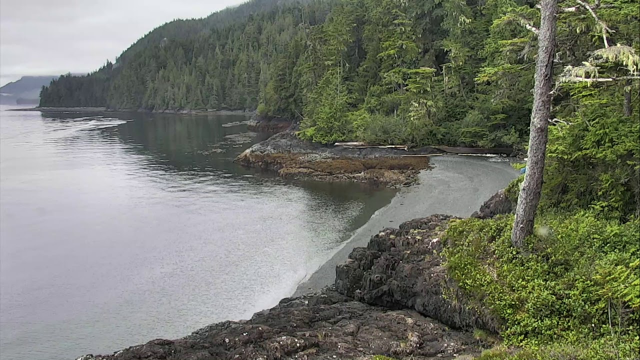 video phone beyonce mp3 Rubbing Beach Orca Lookout Cam 08-01-2018 09:48:17 - 10:41:12