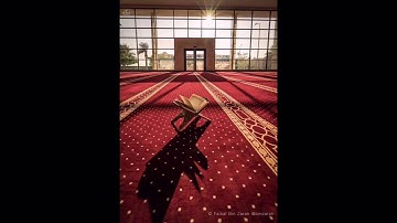 ما تيسر من سورة البقرة للقارئ هادي القحطاني