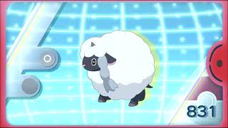 Wooloo Pokédex Entry - Curtain Up! Fight The Fights!