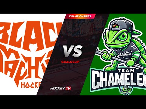 KPHL 코리아 프리미어리그 AAA 블랙머신 vs 카멜레온즈 [GOALS] 2025.03.12