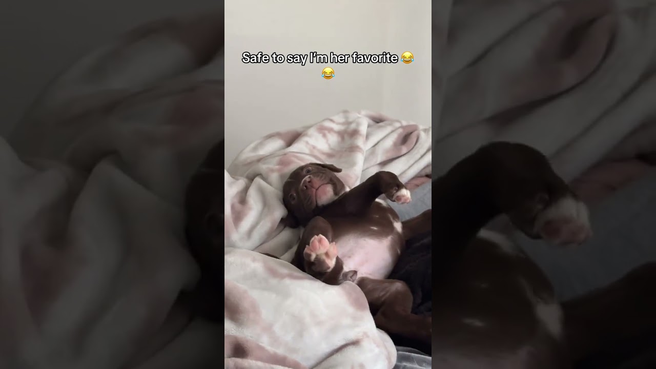 @me.rcedess: Лмаоо 