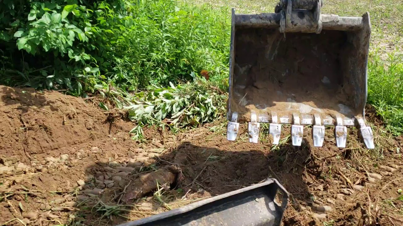Time lapse of clearing out a old fence line of brush and stumps with ...