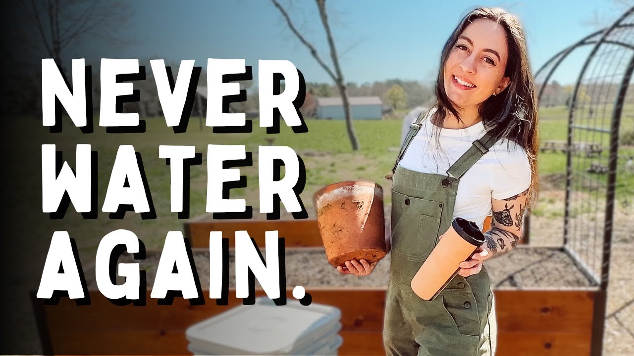 Self Watering Pots | Olla Garden Watering System + ThirstyEarth Review 💧