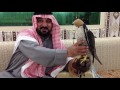 عشير النشامى ابو خليف عشير النشامى ابو خليف