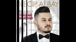 NECİP ALBAY-TİRİDİNE BANDIM Resimi