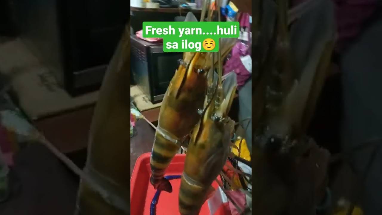 Ulang |fresh huling ilog yarn....| cfdc family vlogs