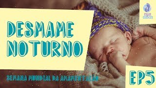 Desmame noturno | EP5