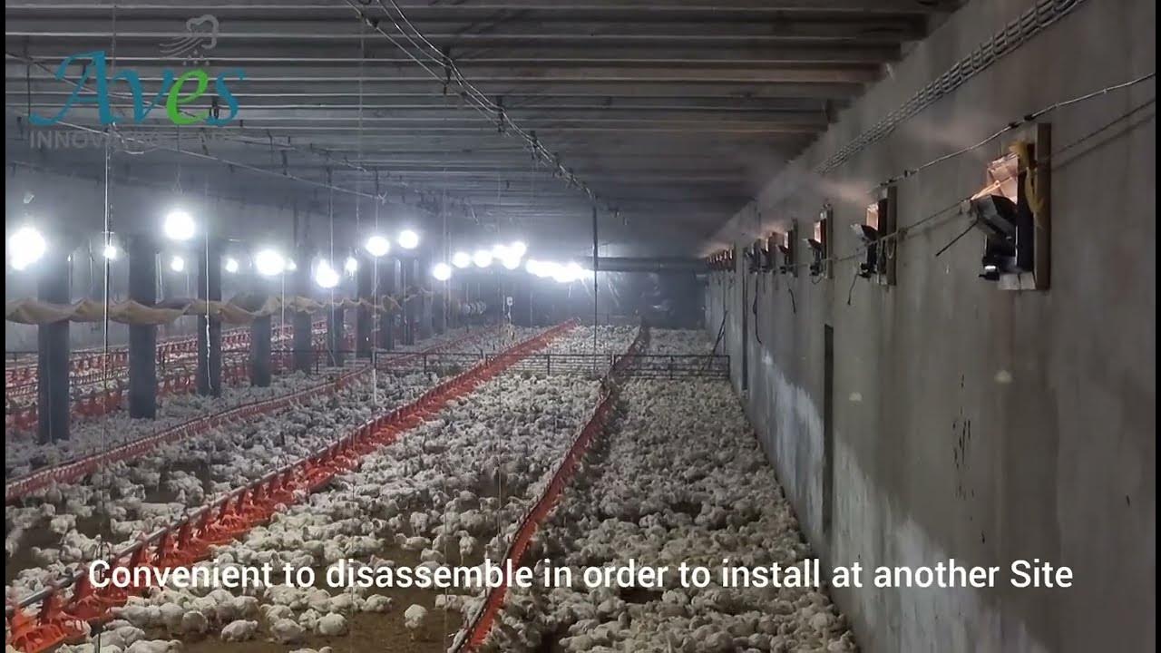 Mist System for Poultry Farms by Aves Fog YouTube