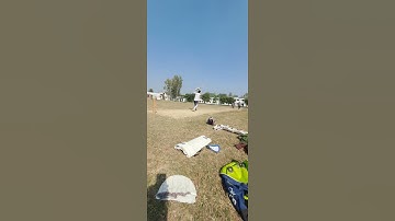 Cricket Lover 🏏  | Cricket Best Short | Cricket in Beat Four