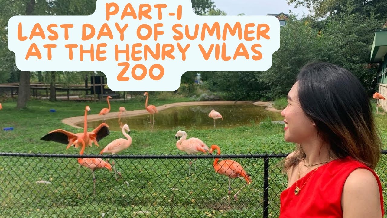 Last Day of Summer in Henry Vilas Zoo in Madison Wisconsin 2022 - YouTube