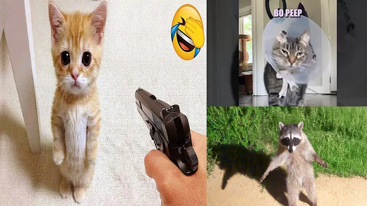 50 Hero Animals That Saved Human Lives | Best moment of 2024! #1Animals