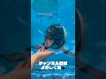 《鳥羽水族館》チャンネル登録者数100万人を目指します❗️✨チャンネル登録してね❤️‍🔥　#鳥羽水族館 #youtube #100万人 #チャンネル登録お願いします #イロワケイルカ