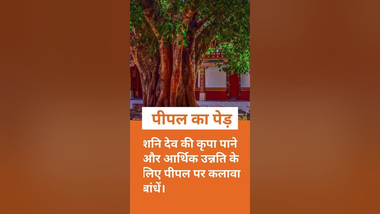 2 Minute Daily Vastu Tips For A Happier Life YouTube 2-minute-daily-vastu-tips-for-a-happier-life-youtube