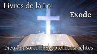 BIBLE: Books of the Law - Exodus 1: God brings the Israelites out of Egypt