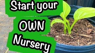5 Steps to Starting a Nursery Business // 🌱 Getting Started