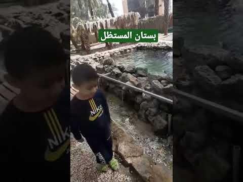 بستان المستظل هنا شرب من بئر عذق فصار عذب ا مبارك ا الكاتب الصحفي خالد البحيري 