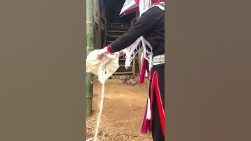 Phong tục đám cưới dân tộc sán chỉ #sacmaubaolac#shorts