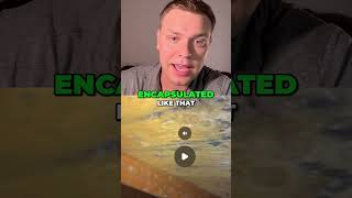 Attic Mold Nightmare  Insulation Pro Reacts to Disaster