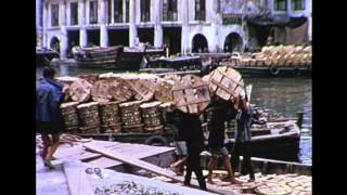 S.S. Rotterdam World Cruise calling at Singapore 1965