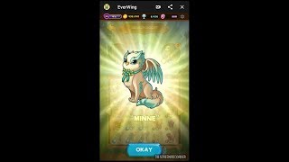 EverWings - Mina All Evolution !!