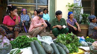 Harvest Vegetables To Sell Market, Daily Work |Single Life in the Rainforest || EP.55