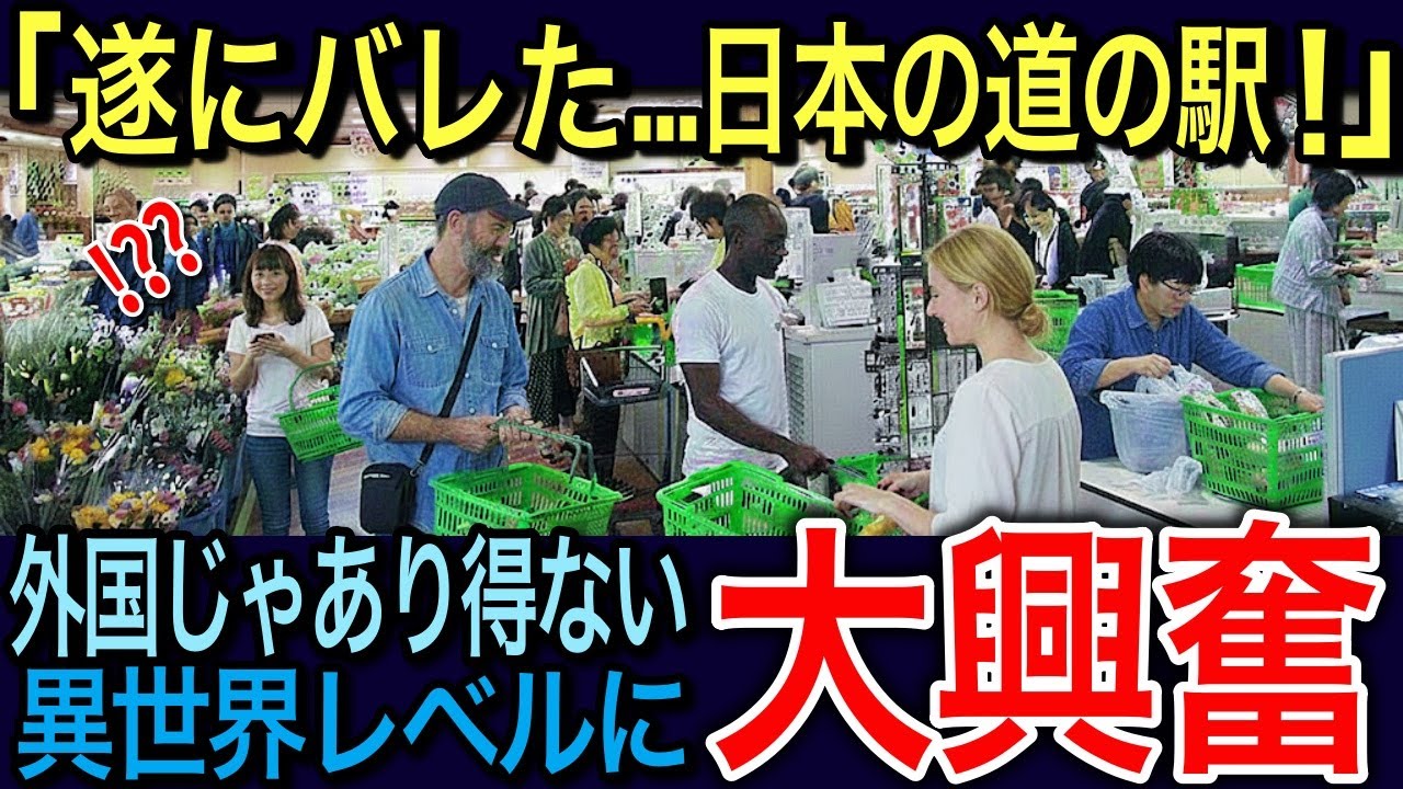 【海外の反応】「日本の電車が通らない駅が最高！」ついに外国人に道の駅がバレたｗｗ異世界レベルに世界がざわつく