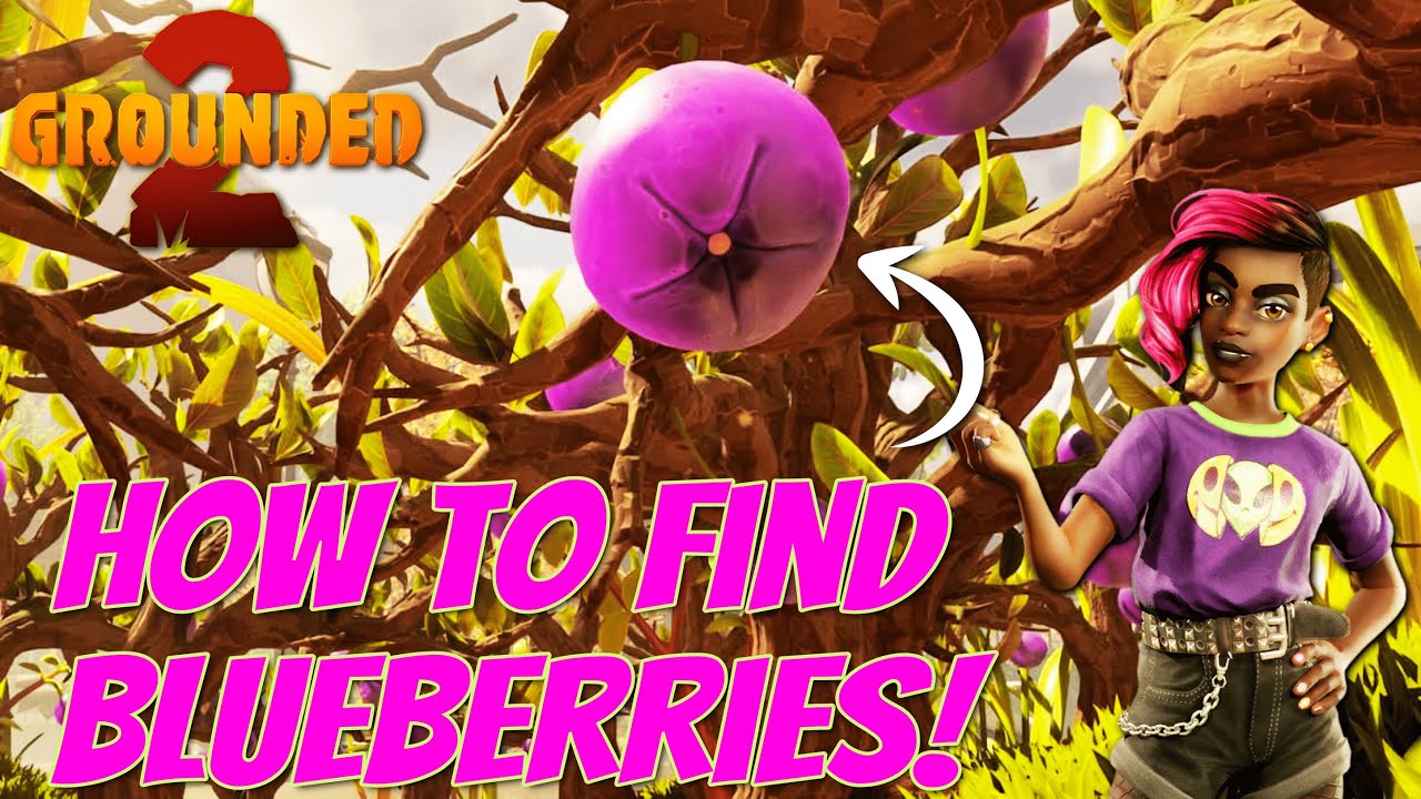 How to find blueberries in Grounded 2!