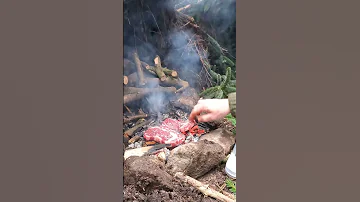 Survival Shelter Build in STORM DAMAGED Forest | Ribeye Steak on HOT COALS