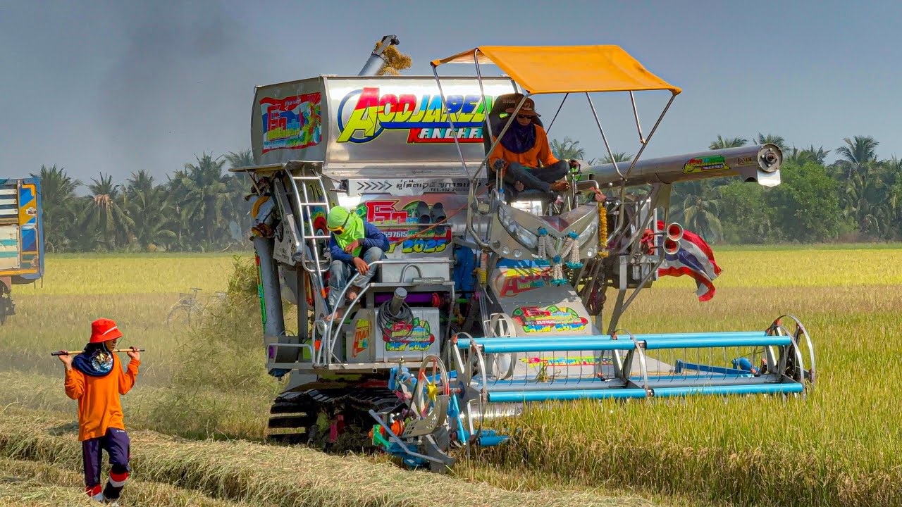 รถสวย #แถมข้าวดีจัด 107 ไหลแบบนี้ได้เกินนา #รถเกี่ยวข้าวโอ๊ตเจริญการช่าง #ปั้มท้ายใบกล่อง