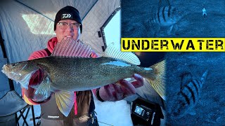 Bring on the 2023-2024 Ice Fishing Season! (Underwater Perch & Walleye)