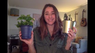 NGSS 2-LS2-1. What do plants need to grow and survive