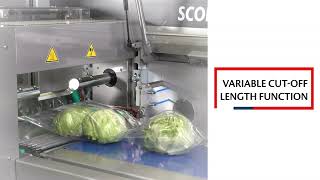 IMA Record SCORPION TS RS | Flow wrapper for fresh vegetables in pillow bags