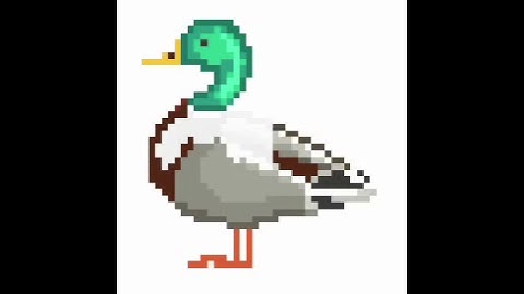 Mallard Duck : Sandbox Coloring