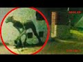 DEMON BEAST CAUGHT ON CAMERA?