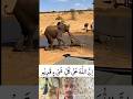 أحيان ا لا نحزن لأننا شاهدنا الألم بل لأننا شعرنا به وكأنه يخص نا اكسبلور لايك اق