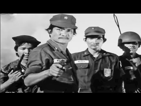 Tình Báo Giả