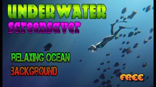 Underwater Diver Screensaver – Relaxing Ocean Background with Dolphins, Whales & Ambient Sea Sounds screenshot 1