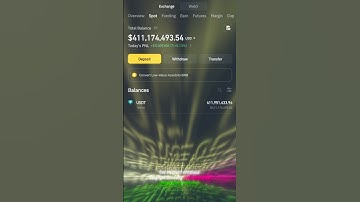 ⚡ Flash USDT Sender | Fake USDT Transactions on BSC #CryptoPrank #USDT #binancesmartchain